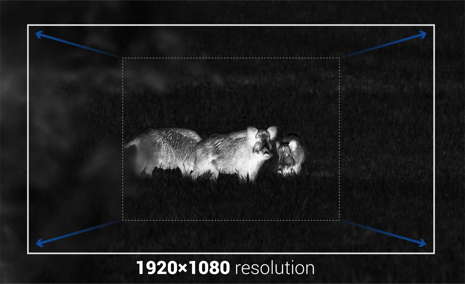 CONOTECH - Monocular Lipot 635LRF